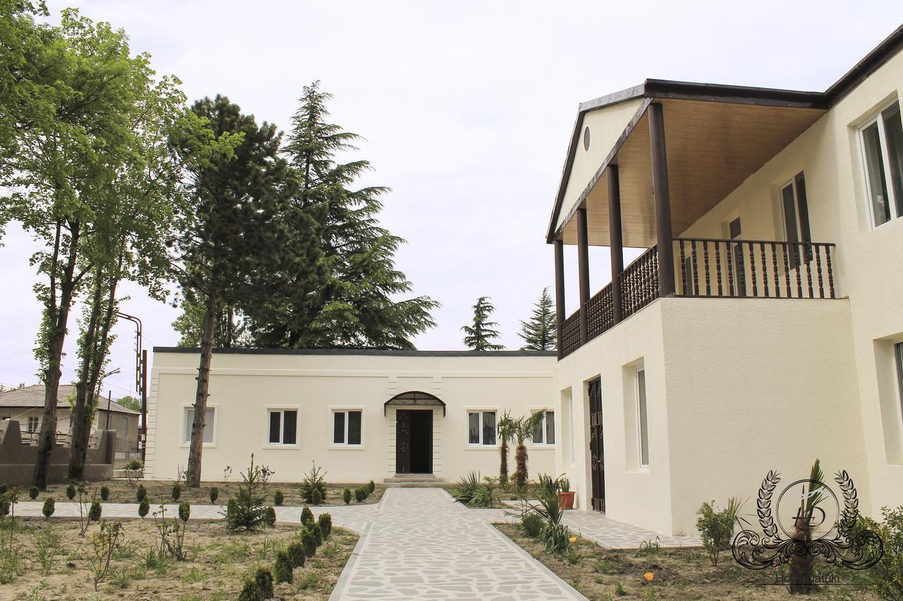 Hotel Datuki Akhmeta Εξωτερικό φωτογραφία